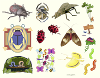 Рисуем насекомых и бабочек