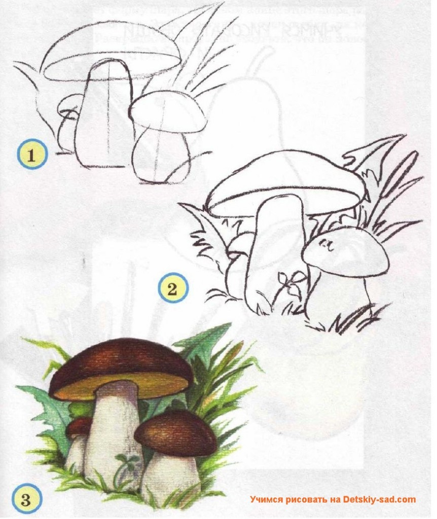 Рисовать грибы