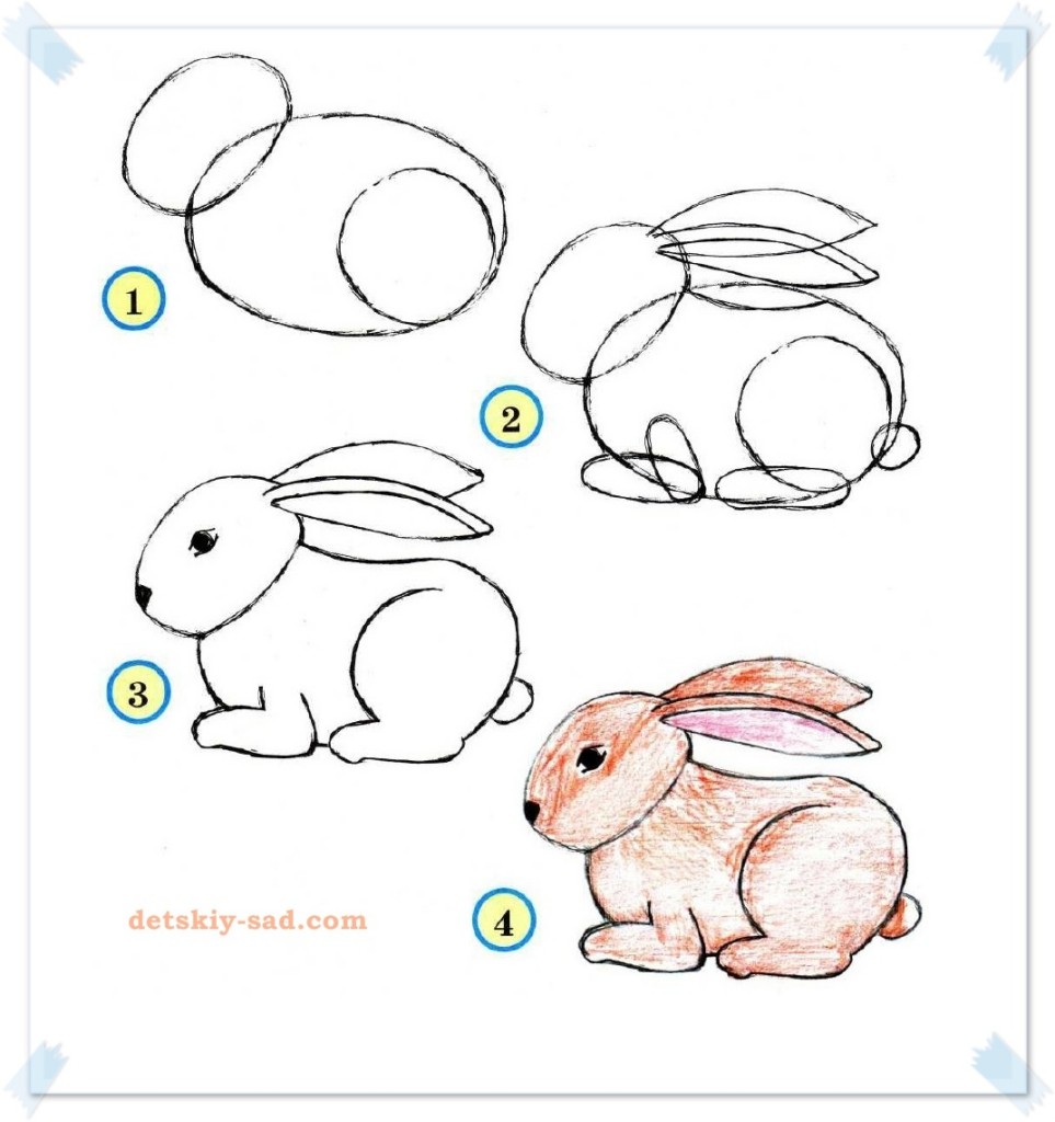 Урок рисования домашнего кролика для самых маленьких