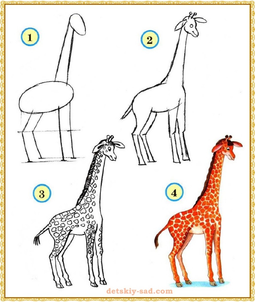 Урок рисования жирафа