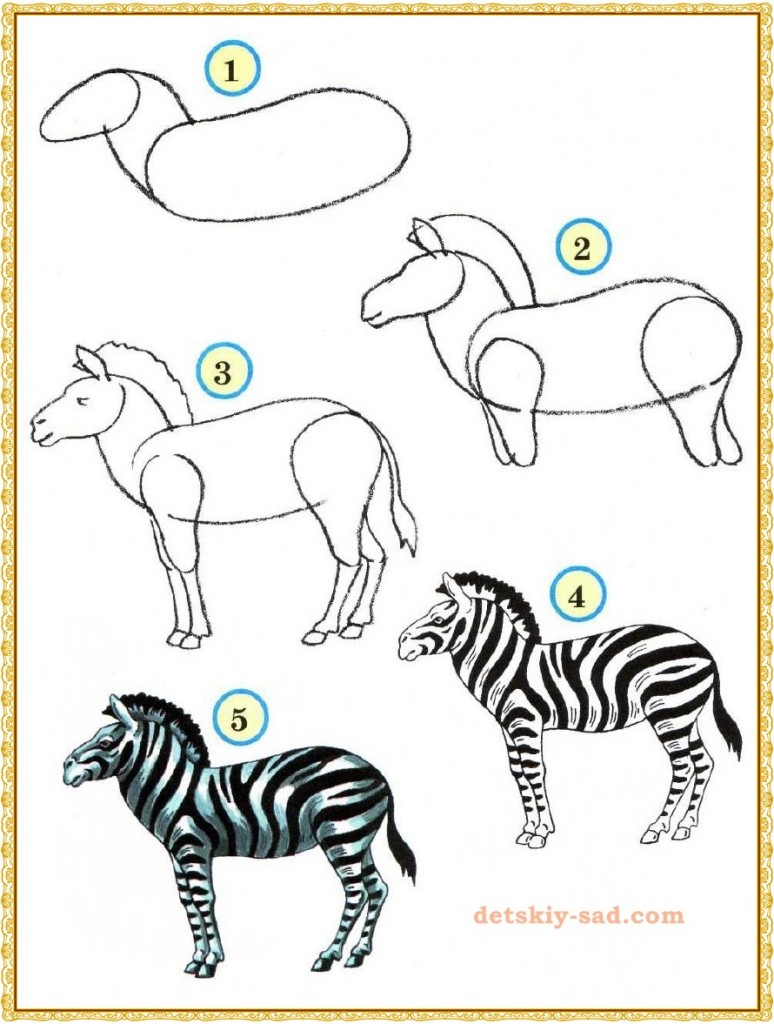 Урок рисования зебры