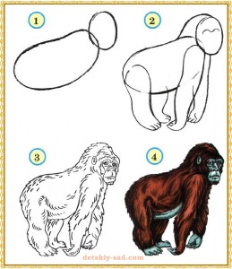 Урок рисования гориллы