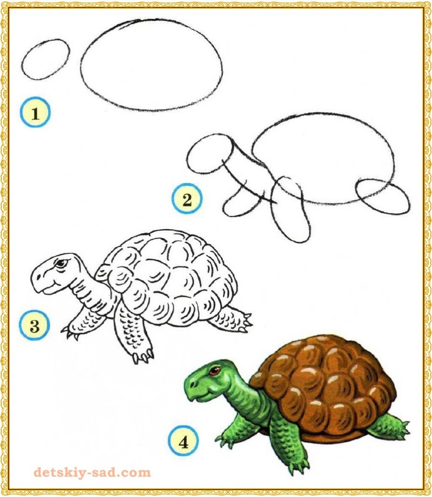 Урок рисования черепахи
