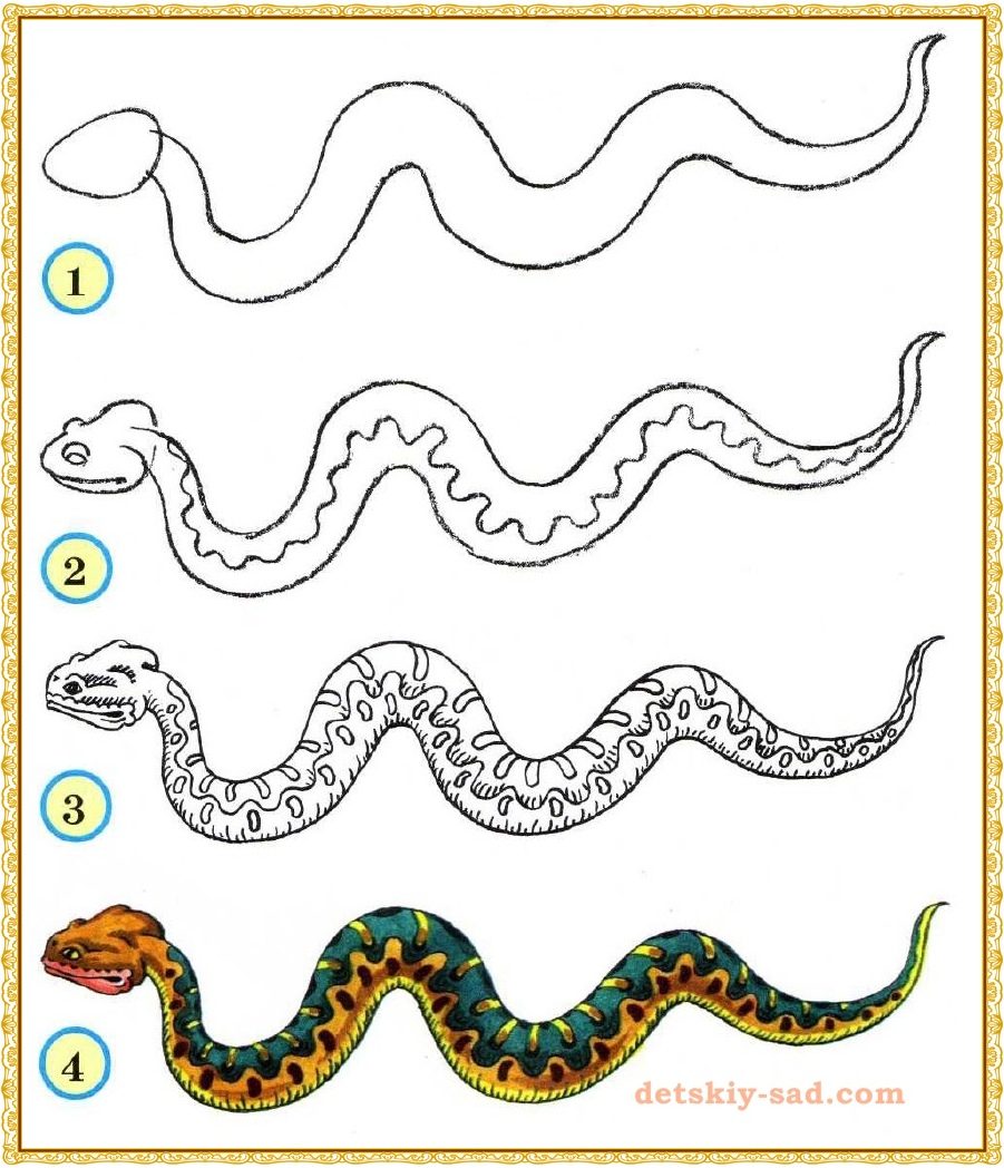 Змейка урок. Как нарисовать змею. Рисунок змеи карандашом для срисовки. Поэтапное рисование змеи для детей. Как нарисовать змею для детей.