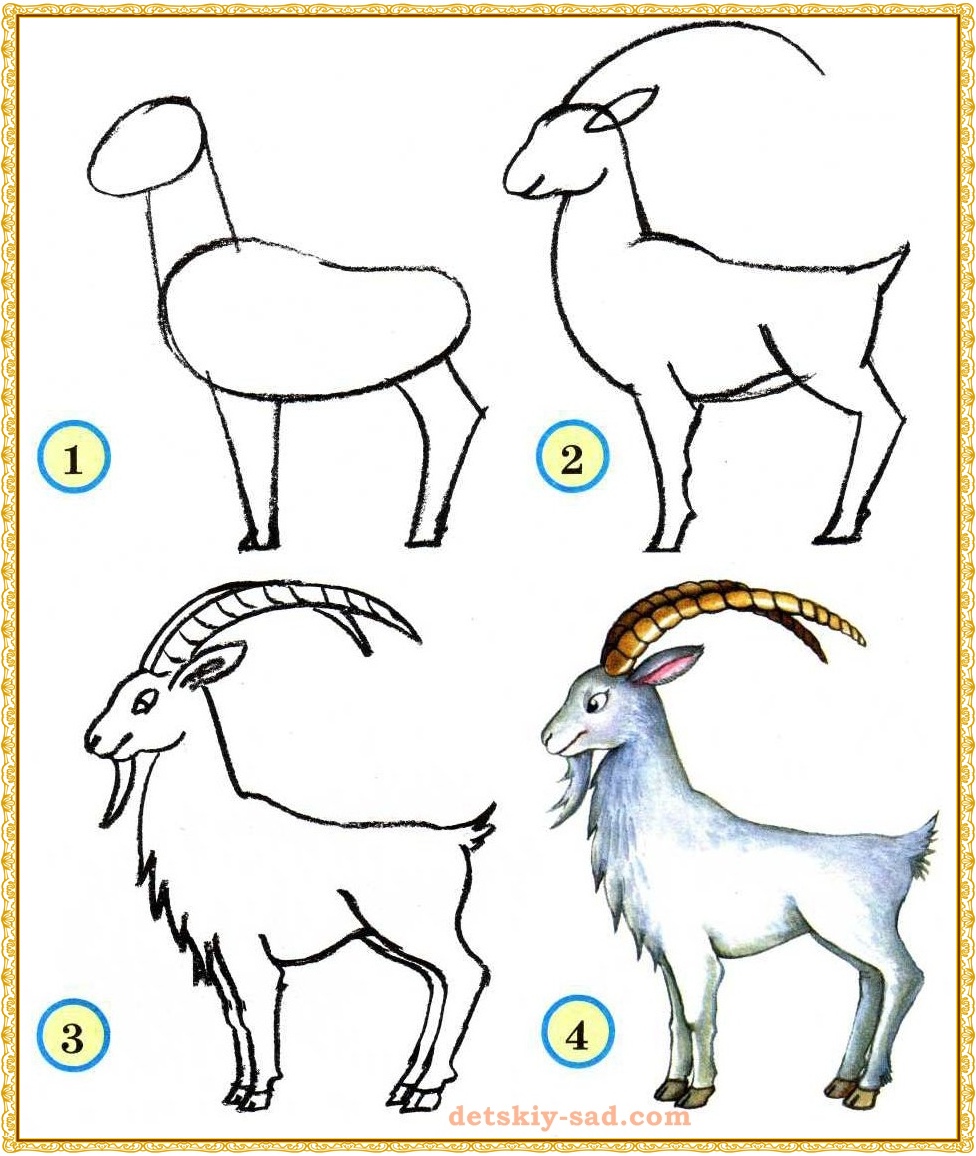 Животное рисунок 7 класс. Поэтапное рисование животных. Рисование животных для детей. Животные поэтапное рисование для детей. Рисунок козы карандашом для срисовки.