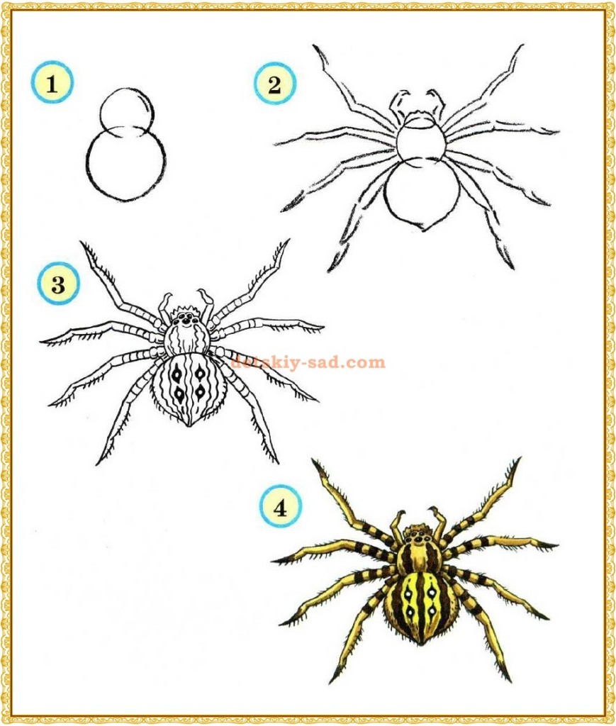 Урок рисования паука