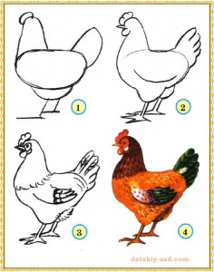 Как нарисовать курицу