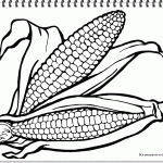 Чищенная кукуруза раскраска