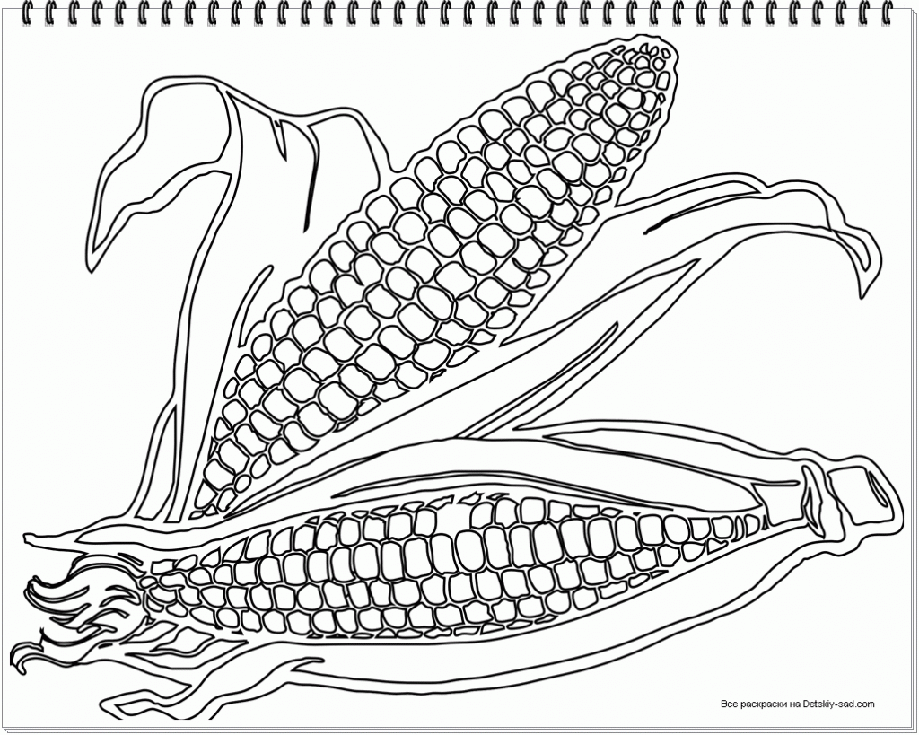 Красивая кукуруза