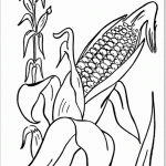 Кукуруза со стеблем и листьями