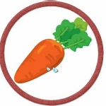 Карточка морковка