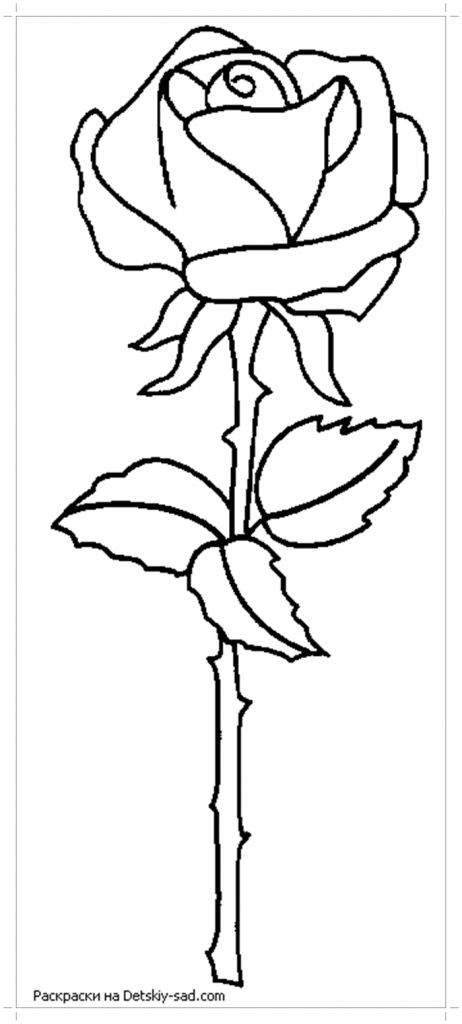 Роза со стеблем раскраска