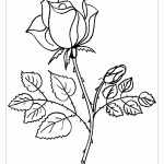 Роза со стеблем и листьями раскраска