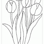Растущие тюльпаны раскраска