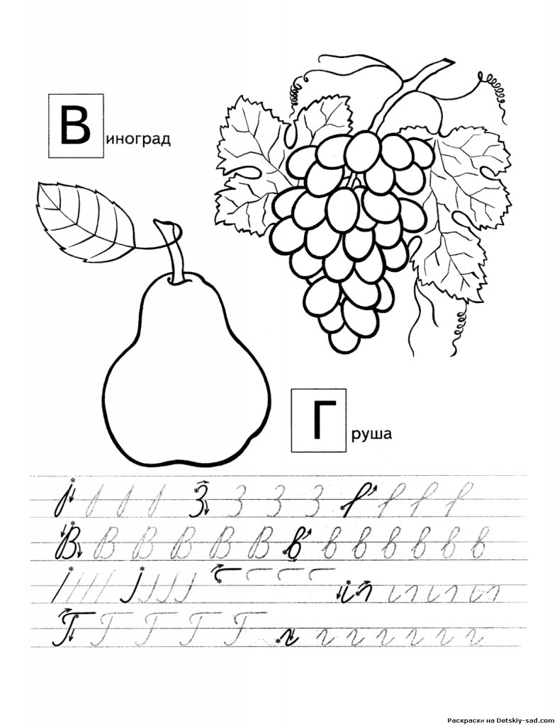 Прописи виноград и груша