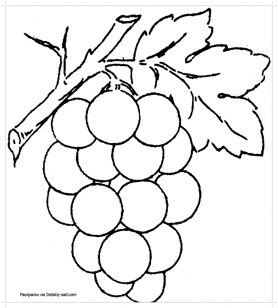 Крупный виноград с листочком раскраска