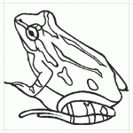 Рисунок лягушки раскраска