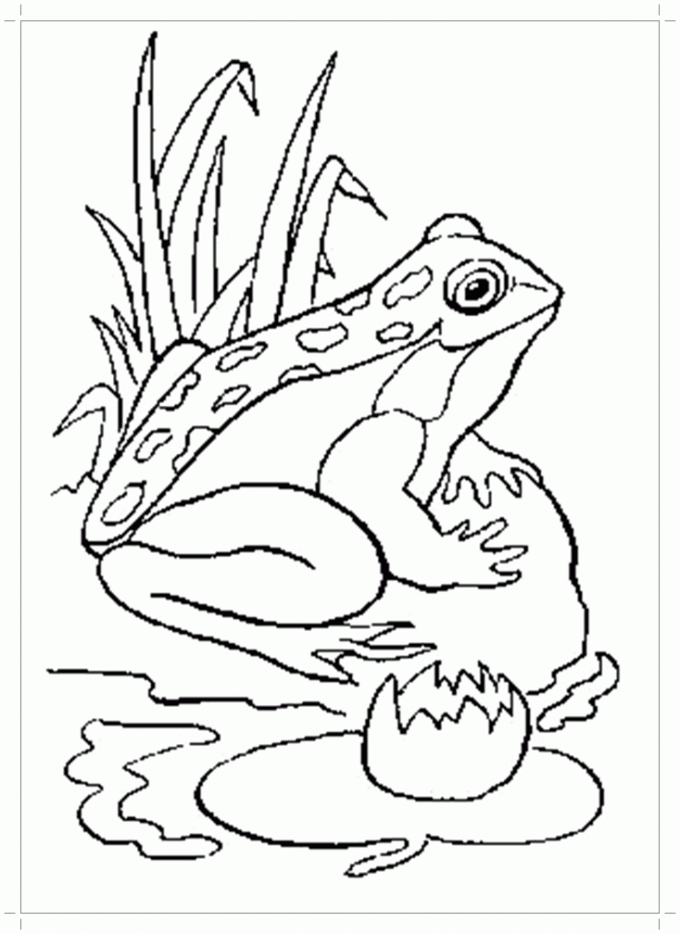Лягушка на болоте