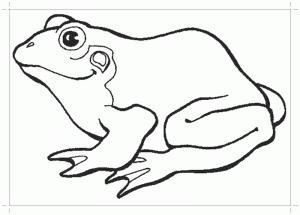 Рисунок лягушки для самых маленьких