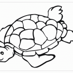 Морская черепаха раскраска