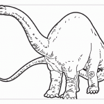 Динозавры раскраска для детей