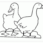 Картинки раскраски гуси лебеди