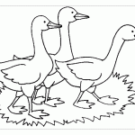 Раскраски к сказке гуси лебеди