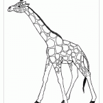 Раскраска жирафа для детского сада