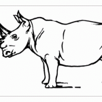 Раскраска носорог для детей