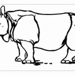 Раскраска носорог распечатать