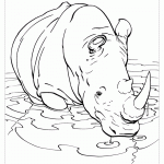Носорог в водоеме