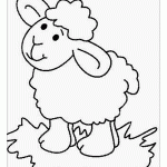 Раскраска овца для детей