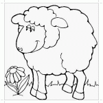 Овца картинка раскраска