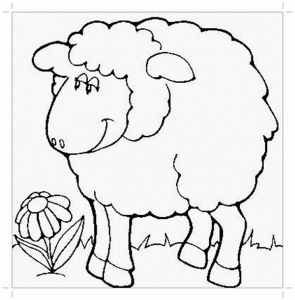 Овца картинка раскраска