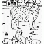 Раскраска год овцы