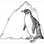 Пингвин рисунок раскраска