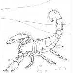 Скорпион в пустыне раскраска