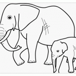 Слониха со слоненком раскраска