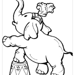 Слон в цирке раскраска