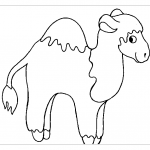 Верблюд - раскраска для самых маленьких