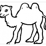 Маленький верблюд раскраска