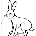 Картинка раскраска заяц