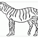 Раскраска зебра распечатать