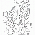 Раскраска зебра из мультфильма