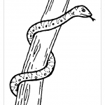 Змея на дереве