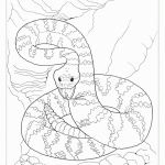 Большая змея раскраска