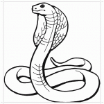 Змея кобра раскраска