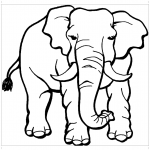 Африканский слон раскраска