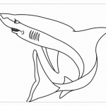 Раскраска акулы для ДОУ