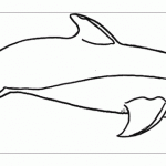 Дельфин раскраска распечатать